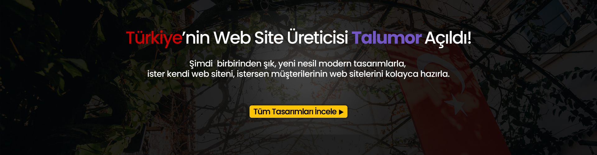 web sitesi paketleri